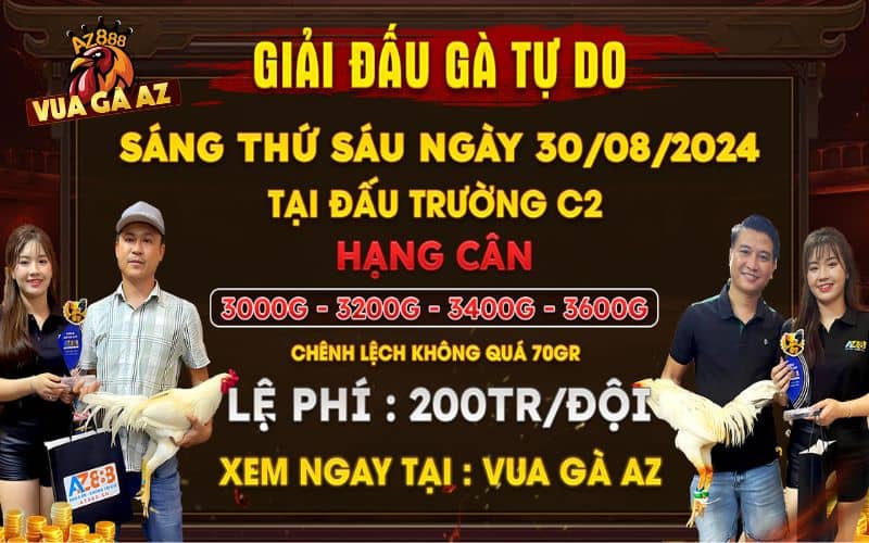 Thông báo tin tức giải đấu gà tự do tại CPC2 ngày 30/08/2024